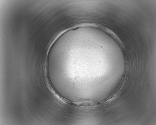 X0000060740860200512011418