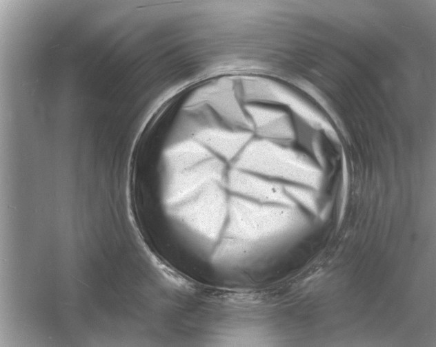 X0000060740861200512011418