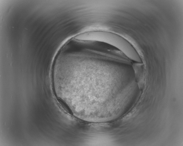 X0000060740864200512011418