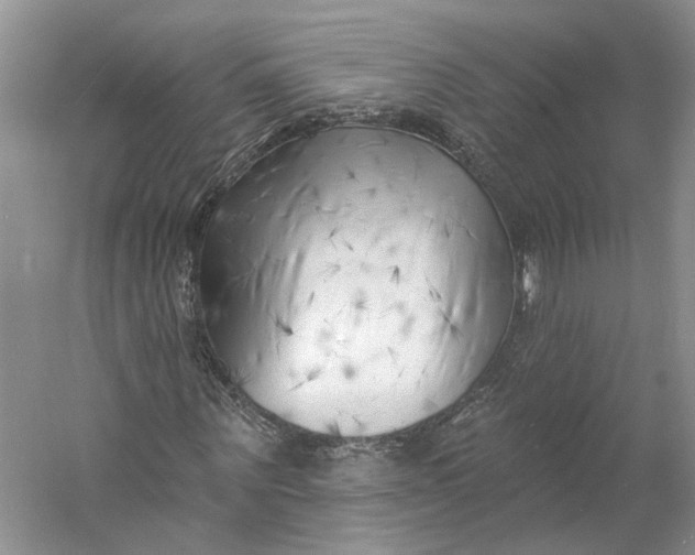 X0000060740867200512011417