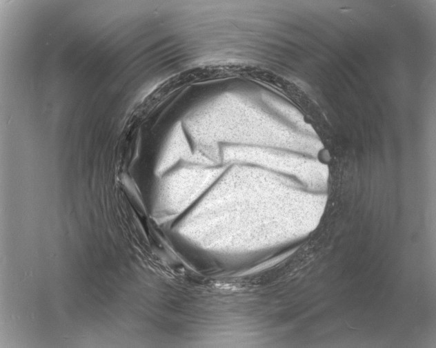 X0000060740871200512011417