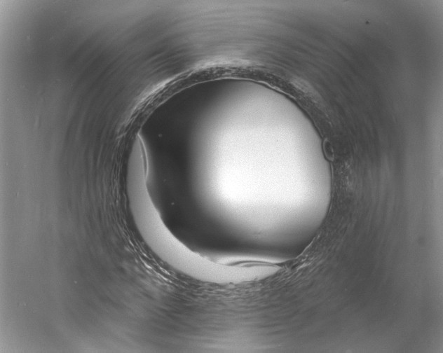 X0000060740872200512011417