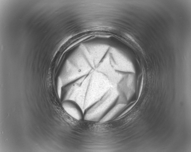 X0000060740875200512011417