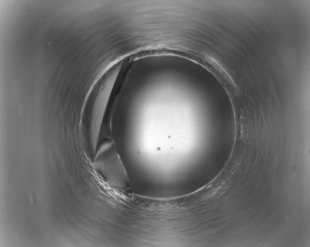 X0000060740876200512011417