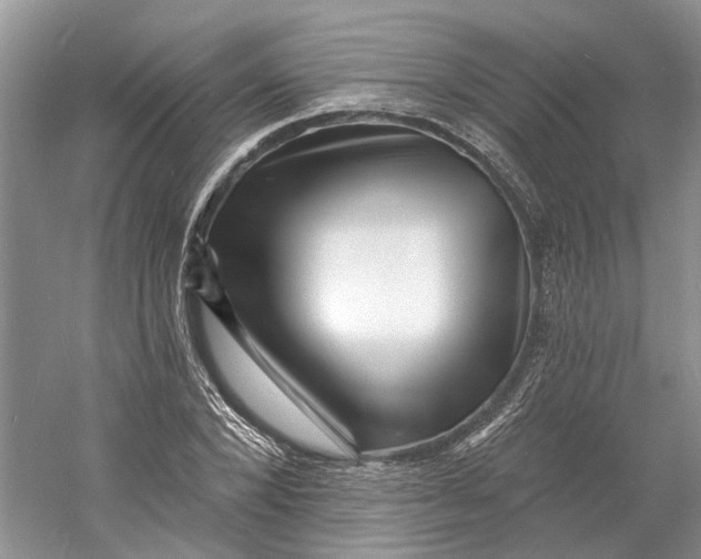 X0000060740880200512011417