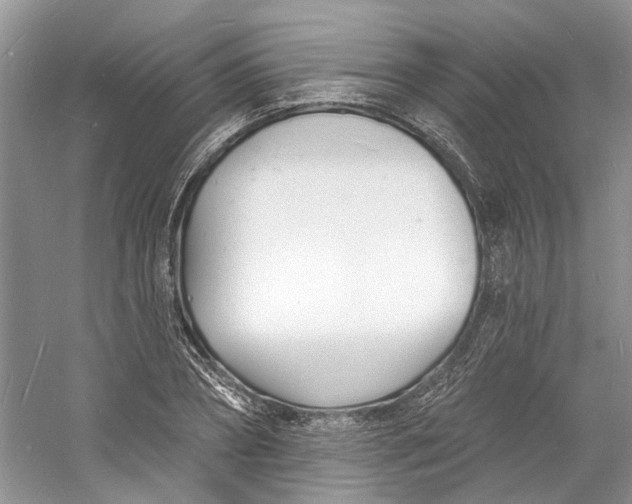 X0000060740882200512011417