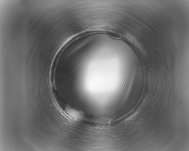 X0000060740884200512011417