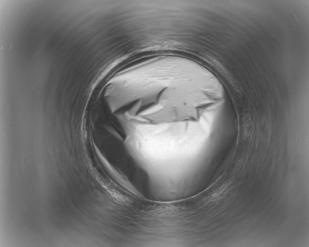 X0000060740885200512011417