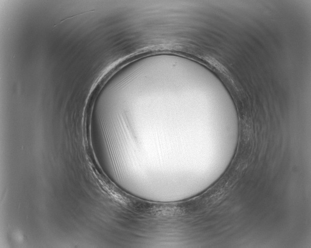 X0000060740886200512011417