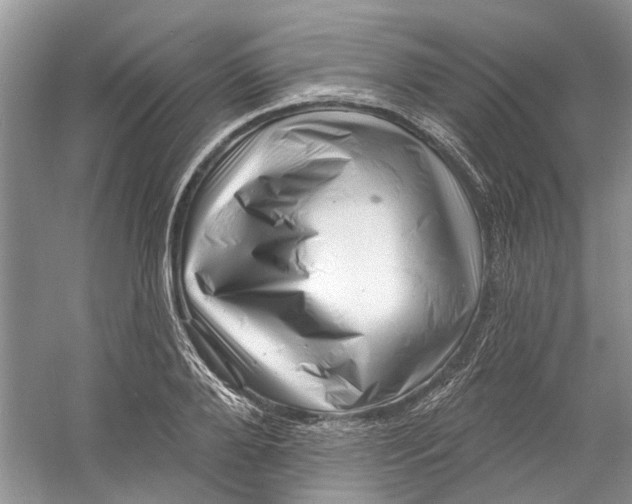 X0000060740888200512011417