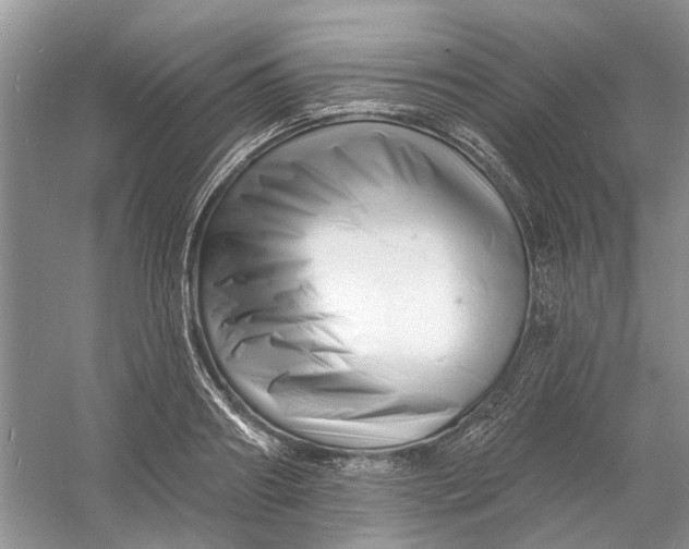 X0000060740890200512011417