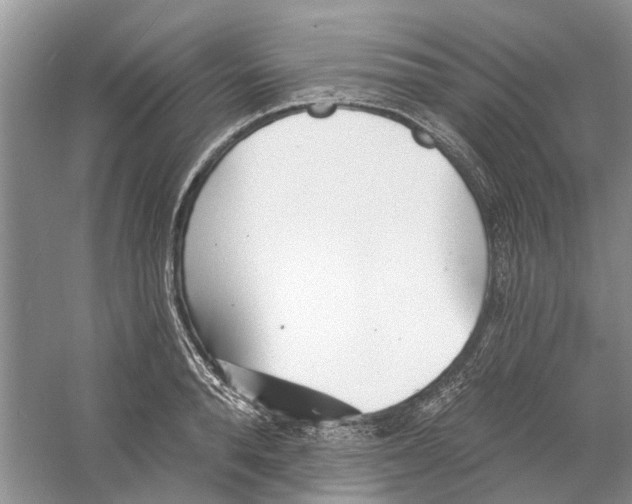 X0000060740896200512011417