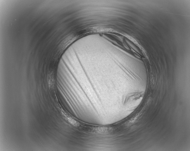 X0000060740897200512011417