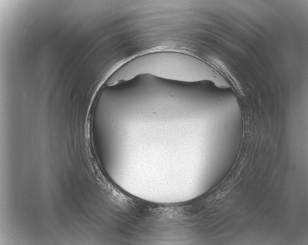 X0000060740900200512011417