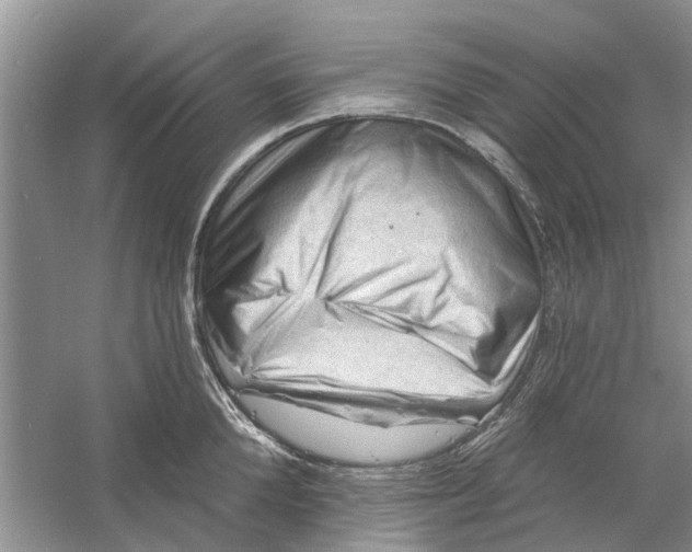 X0000060740904200512011416