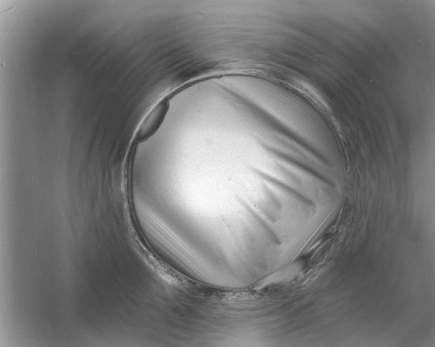 X0000060740907200512011416