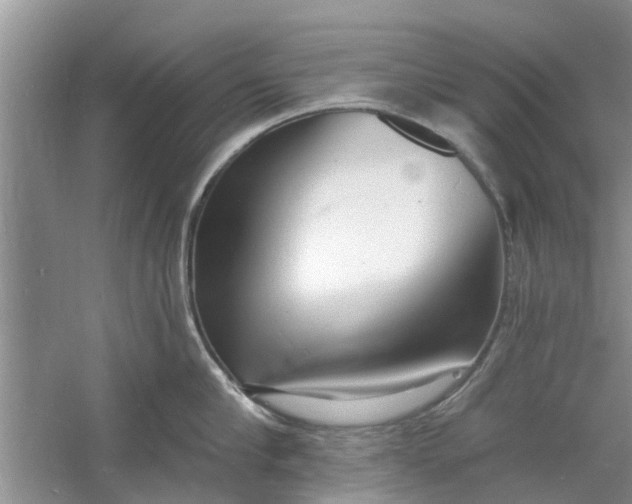 X0000060740910200512011416