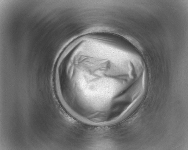 X0000060740912200512011416