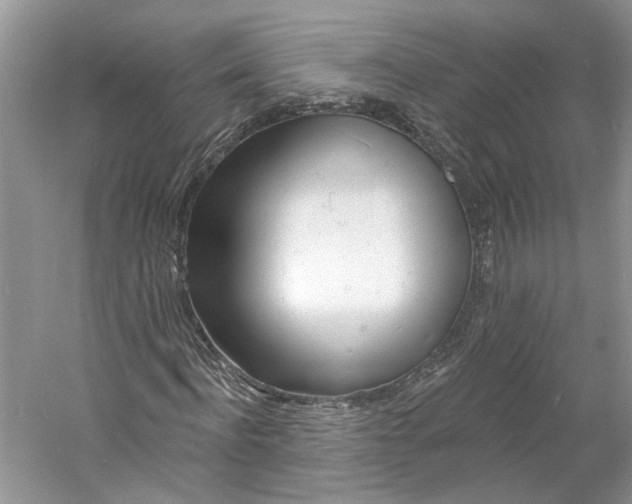 X0000060740916200512011416