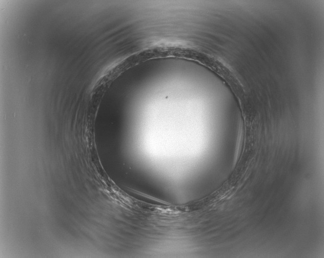 X0000060740919200512011416