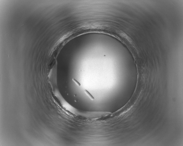 X0000060740922200512011416