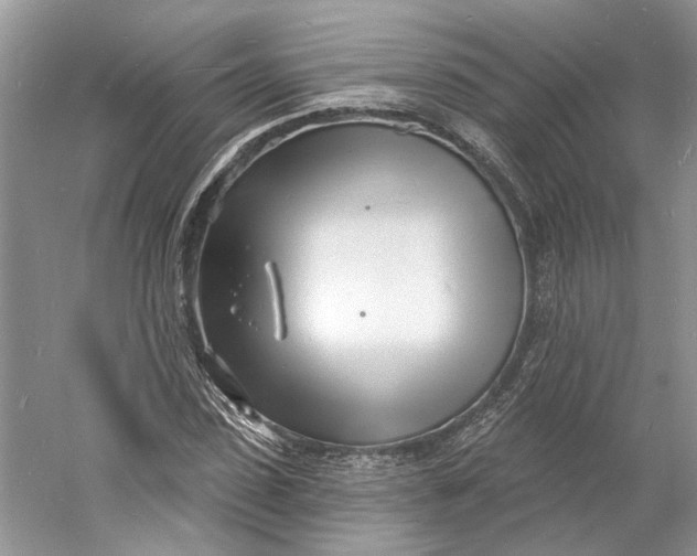 X0000060740923200512011416