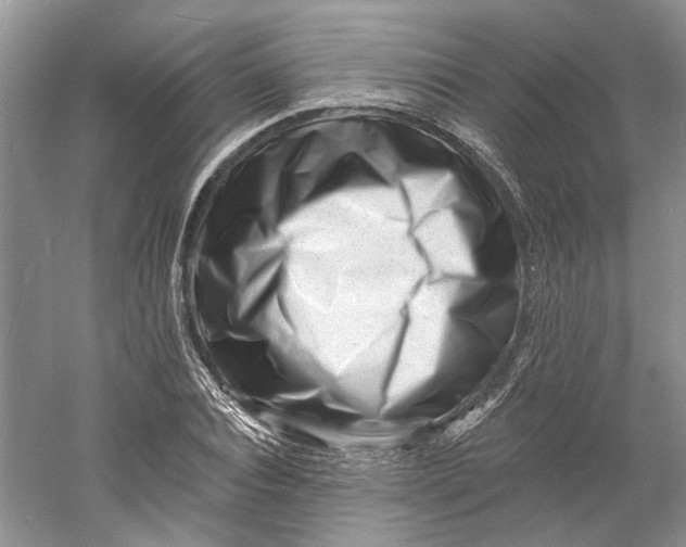 X0000060740928200512011416