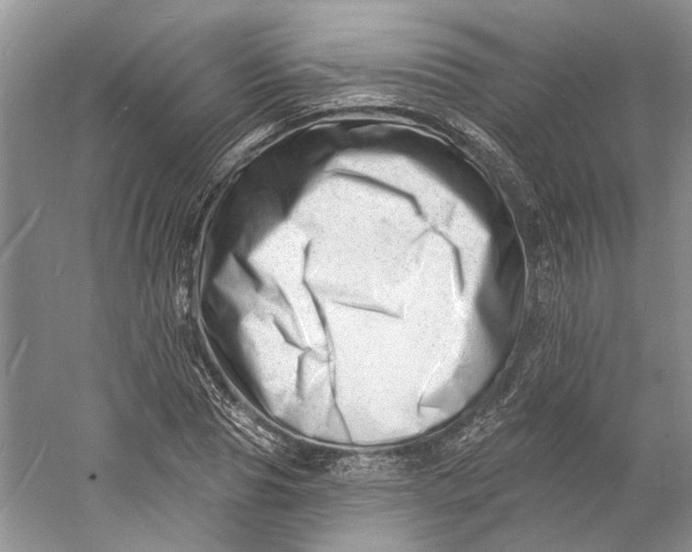 X0000060740929200512011416