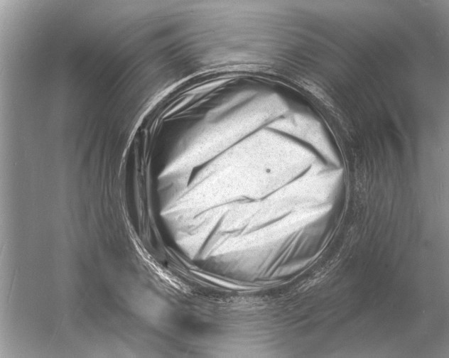 X0000060740933200512011416