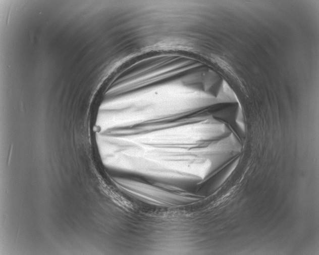 X0000060740934200512011416