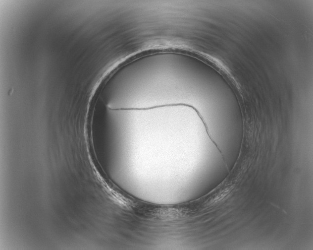 X0000060740943200512011416