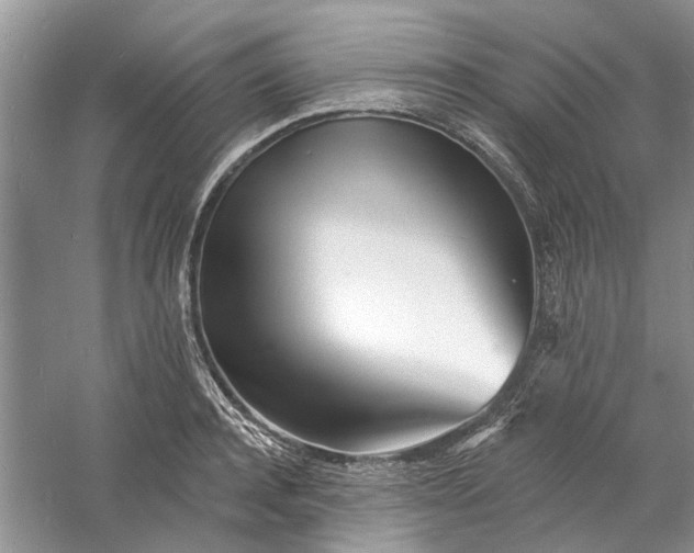 X0000060740944200512011416