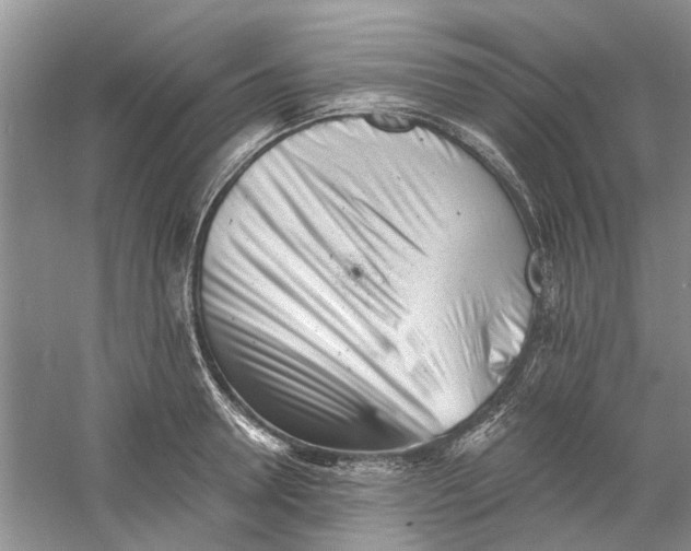 X0000060740946200512011416