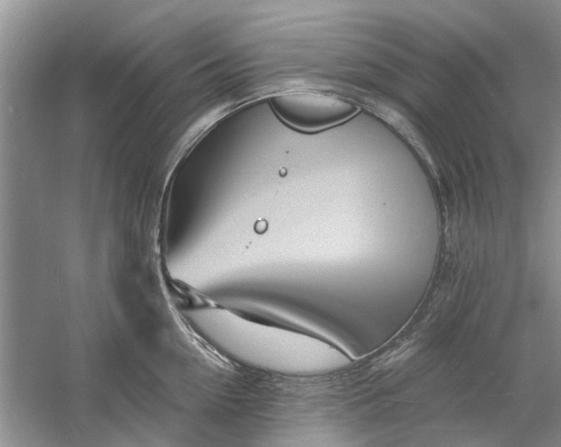 X0000060740954200512011416