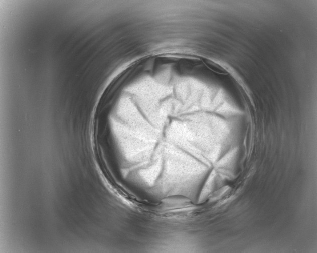 X0000060740957200512011416