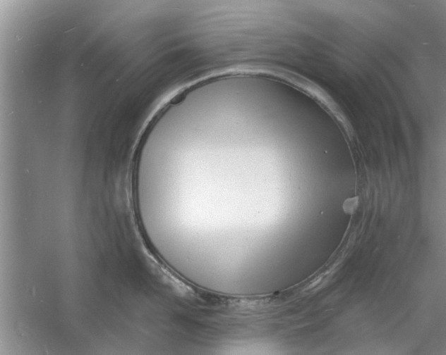 X0000060740958200512011416