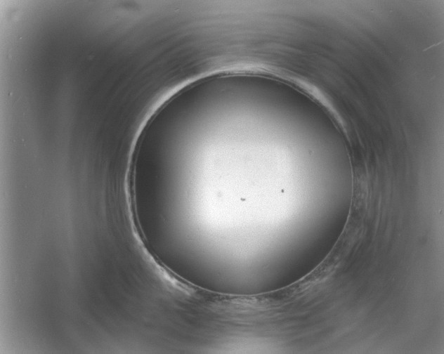 X0000060740959200512011416