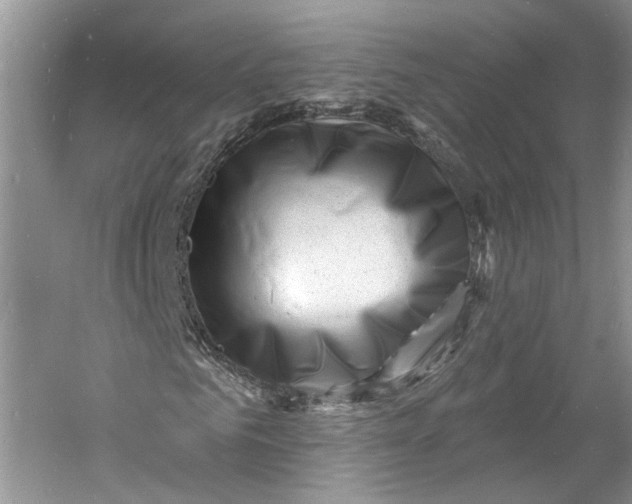 X0000060740961200512011415