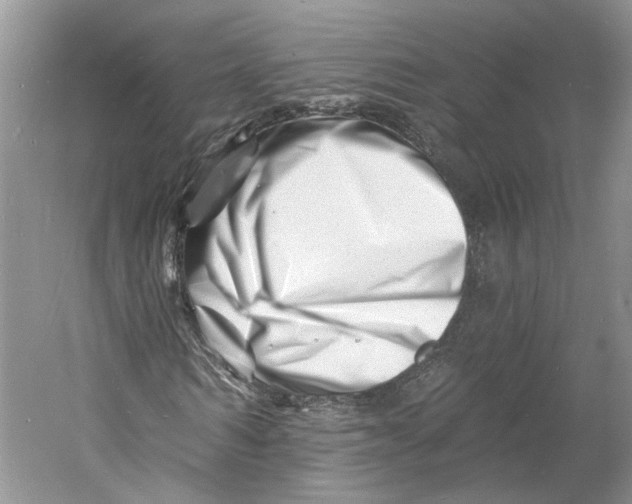 X0000060740962200512011415