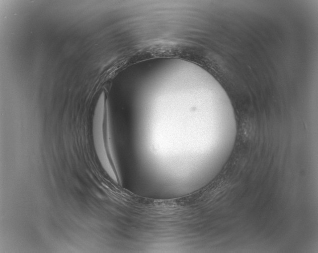 X0000060740964200512011415