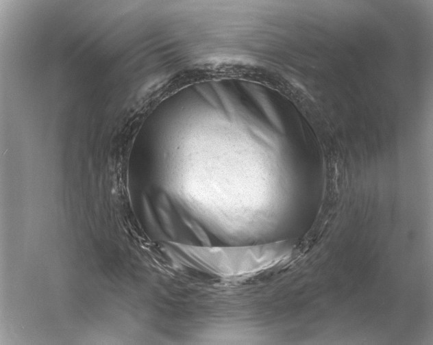 X0000060740965200512011415