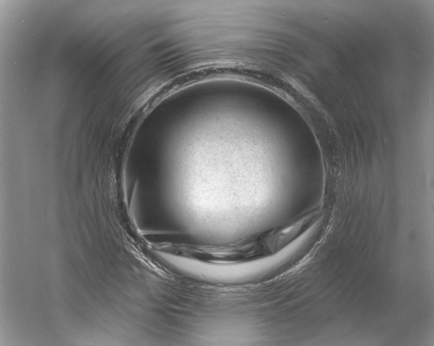 X0000060740969200512011415