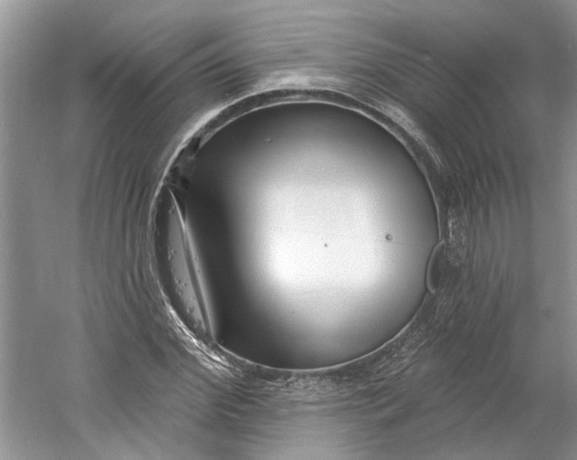 X0000060740972200512011415