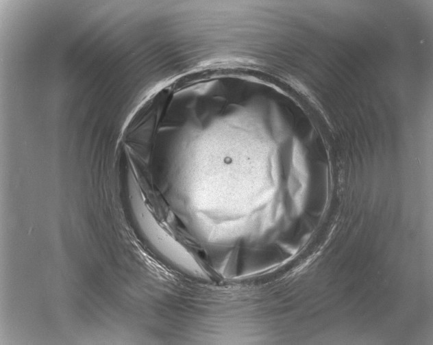 X0000060740973200512011415