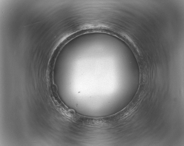 X0000060740975200512011415