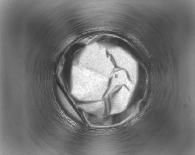 X0000060740977200512011415