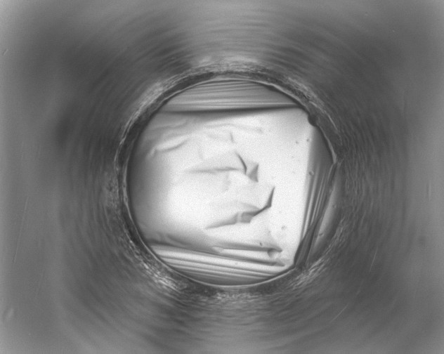 X0000060740978200512011415