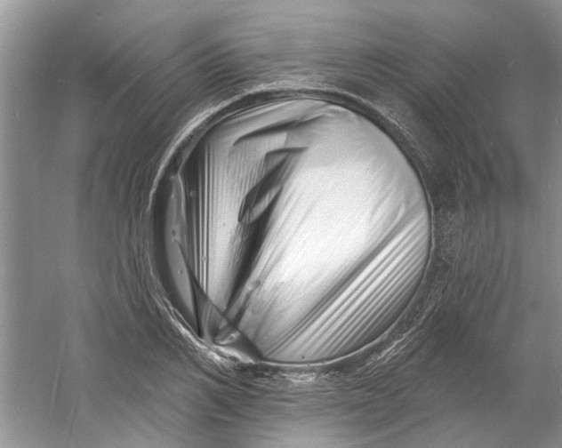 X0000060740982200512011415