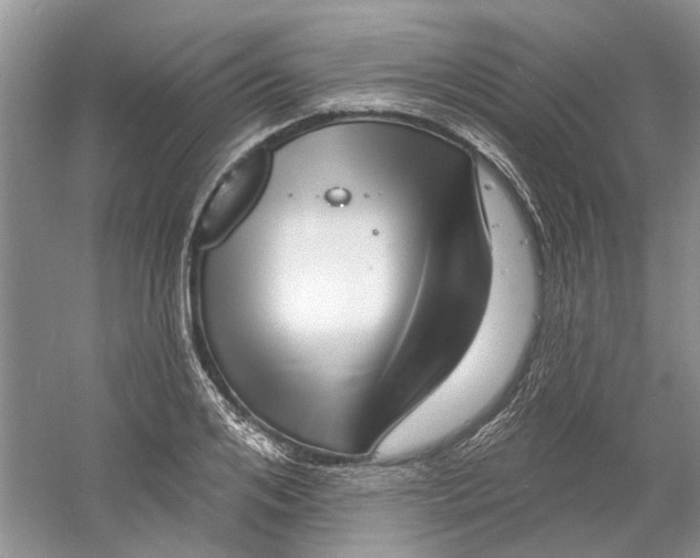 X0000060740984200512011415