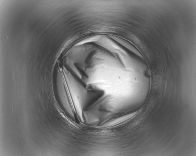 X0000060740986200512011415